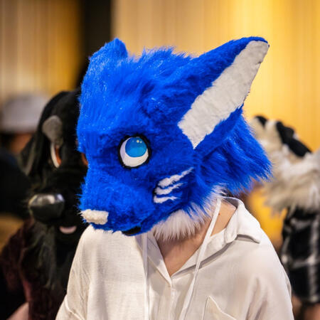 2020 - Quinn the Rabbit (She/Her), Mini Partial, Headbase by Westscustomcreations.